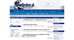 Desktop Screenshot of amerbroker.pl